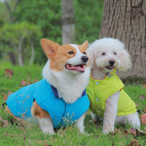 Thickened Waterproof Reflective Reversible Pet Jacket - The Ultimate Pet Comfort