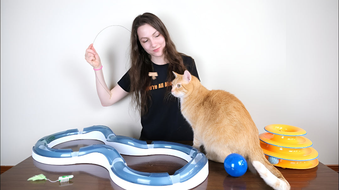 Best Pet Toys For Active Pets