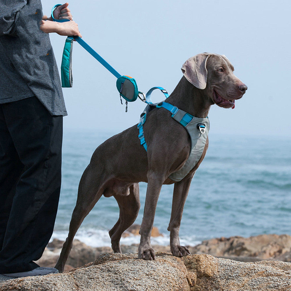 Enhance Your Pet's Adventures with Our Heavy Duty Pet Harness