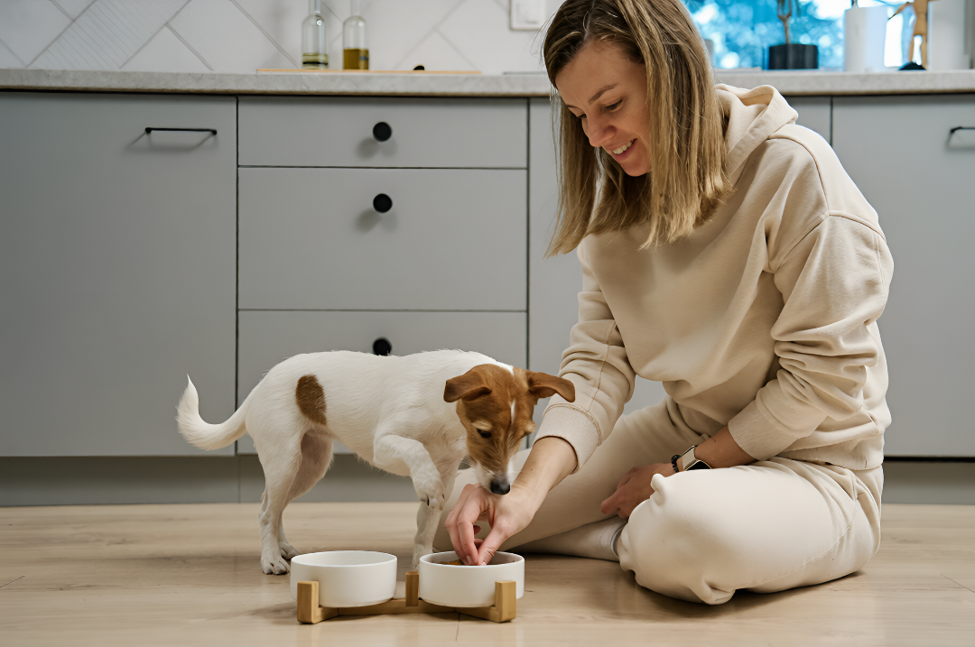 Pet Feeding Essentials For Happy Healthy Pets